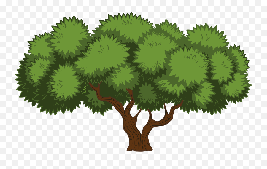 Tree Clip Library Library Png Files - Png Format Tree Clipart Png Emoji,Tree Clipart