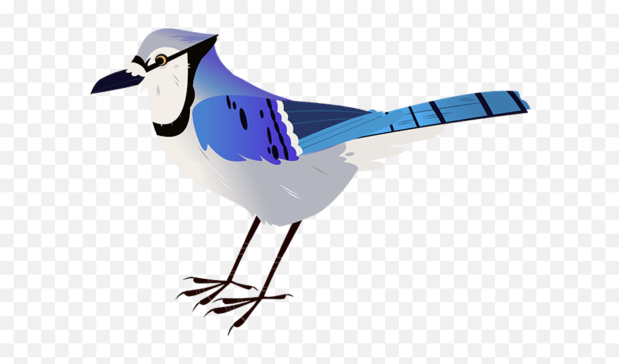 Backyard Pine Cone Bird Feeder - Wild Kratts Emoji,Wild One Clipart
