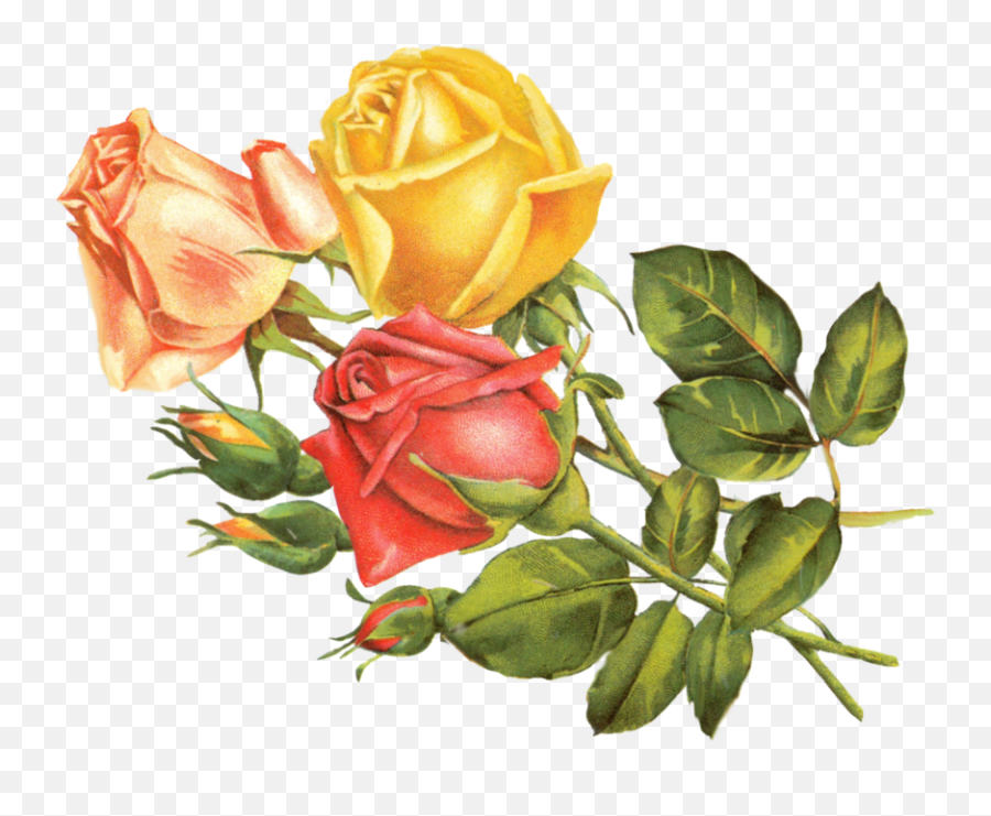 Vintage Roses Clip Art - Clip Art Library Emoji,Vintage Rose Clipart