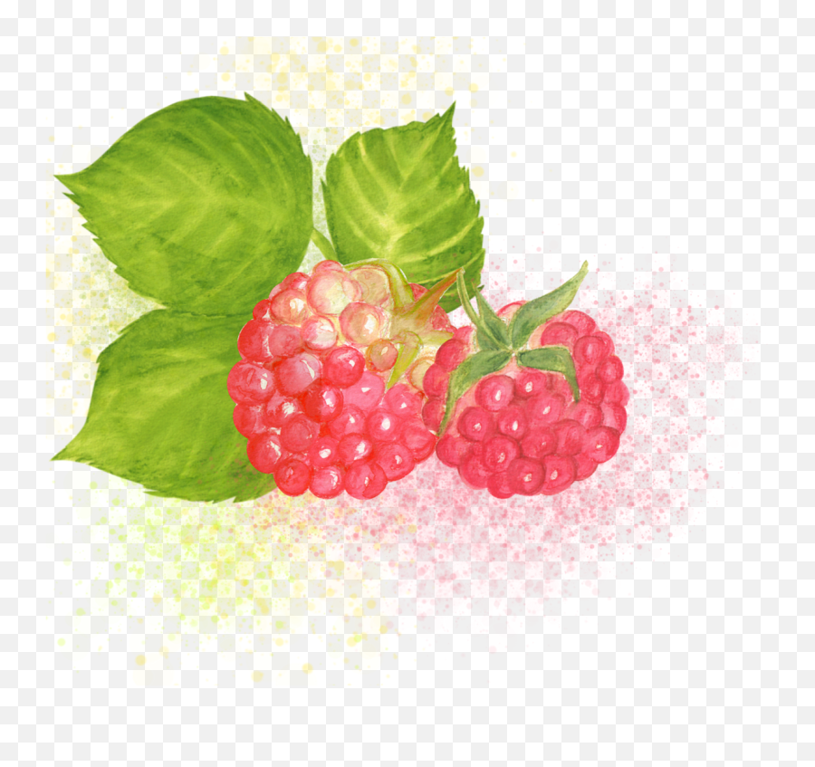 Raspbery Clipart Watercolor - Free Image On Pixabay Fresh Emoji,Watercolor Clipart
