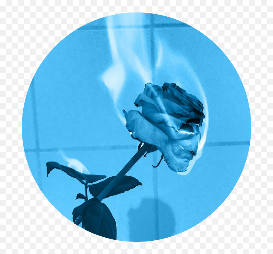 Blue Fire Png - Flower Blue Fire Aesthetic Rose On Neon Blue Aesthetic Flowers Emoji,Blue Fire Png
