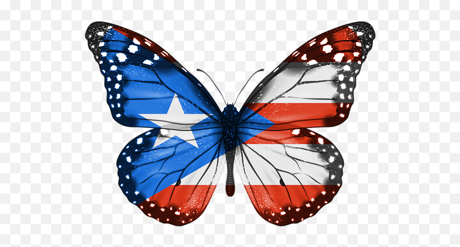 Butterfly Flag Of Puerto Rico Shower - Puerto Rico Butterfly Emoji,Puerto Rican Flag Png