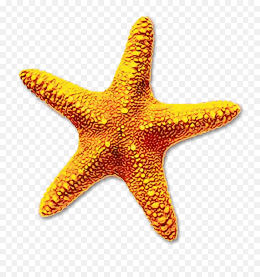 Free Transparent Starfish Png Download Emoji,Starfish Transparent Background