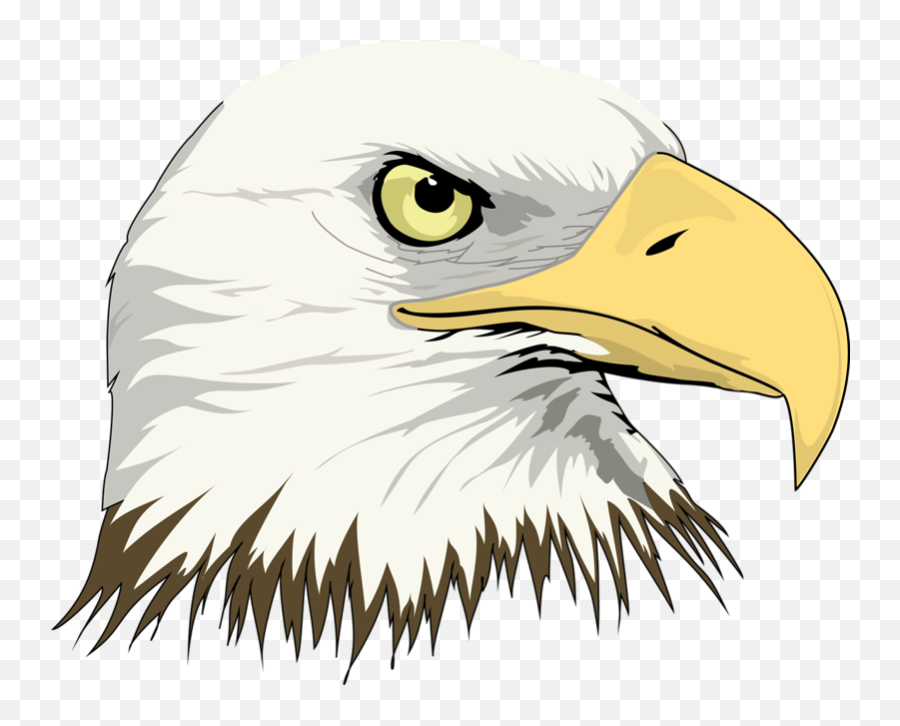Bald Eagle Drawing Clip Art - Grove City Area School District Emoji,Bald Eagles Clipart