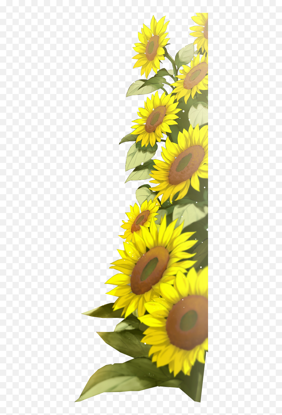 Sunflower Images Clip Art Sunflower Png - Clear Background Sunflower Png Sunflower Transparent Border Emoji,Sunflower Border Clipart