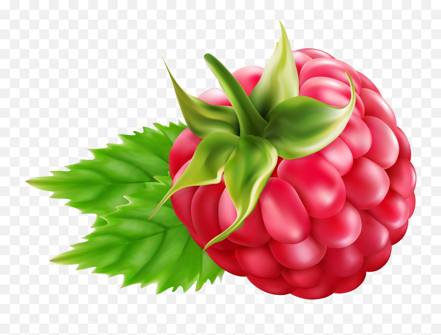 Download Raspberry Clipart Png - Raspberry Clipart Png Emoji,Raspberry Clipart