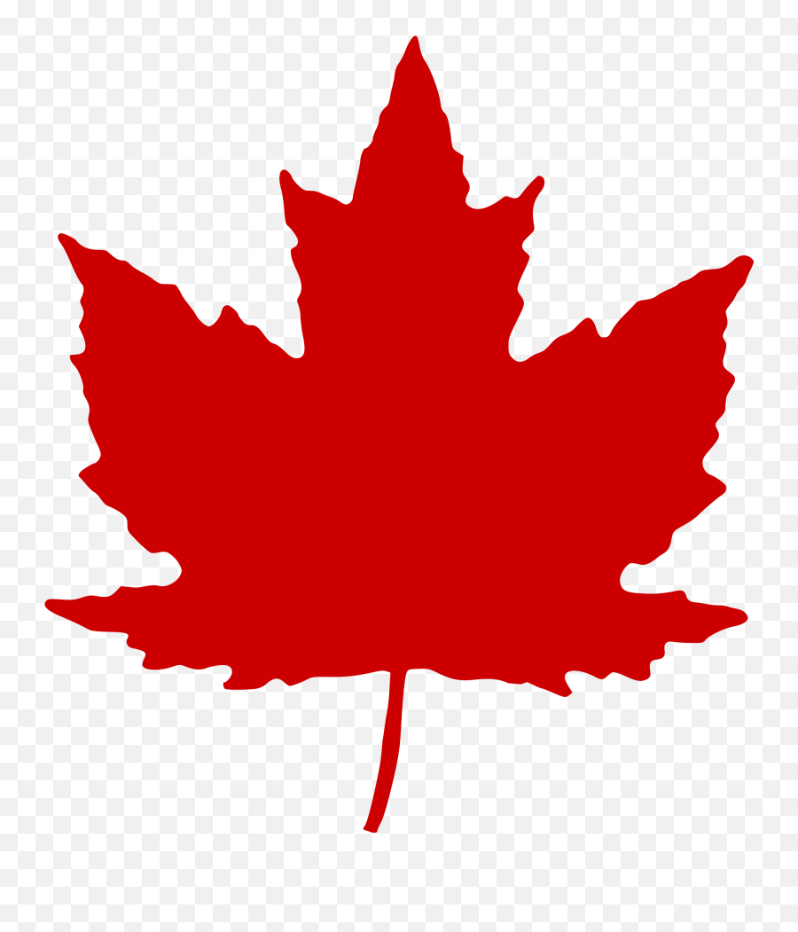 Maple Leaf - Transparent Background Maple Leaf Clipart Emoji,Maple Leaf Png