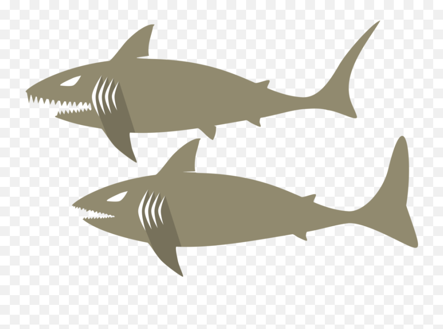 Marine Biology Shark Fin Png Clipart Emoji,Shark Fin Clipart