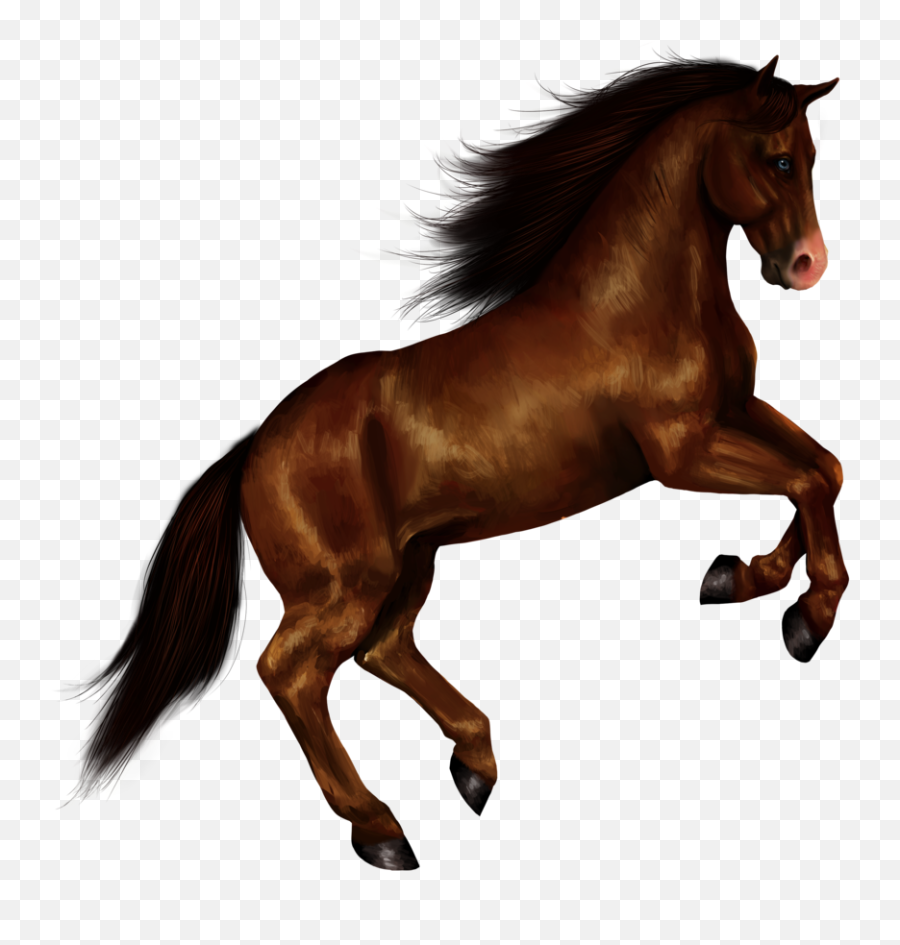 Use These Horse Vector Clipart Png - Horse Png Emoji,Horses Png