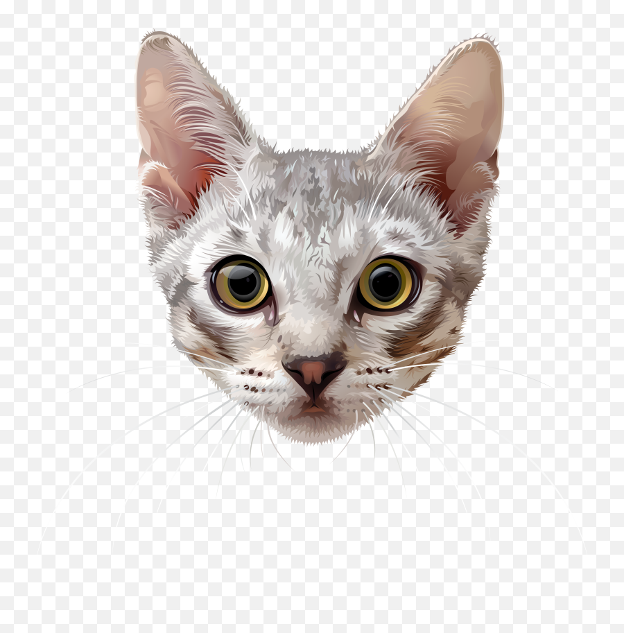 Cat Face Png U0026 Free Cat Facepng Transparent Images 64995 Emoji,Grumpy Cat Clipart