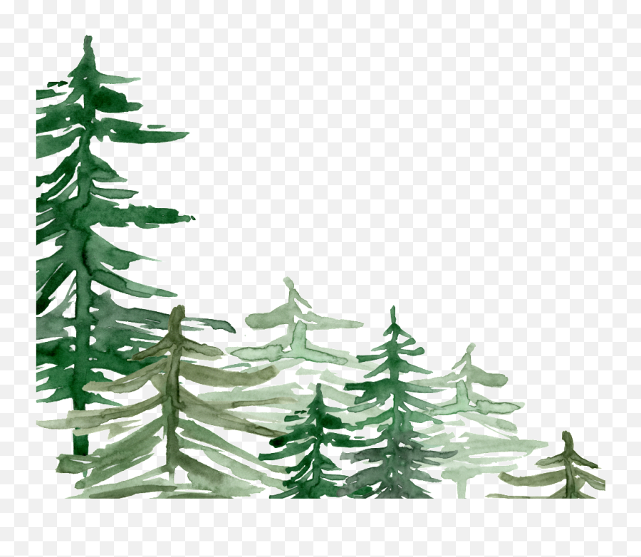 Download Green Watercolor Hand Painted Forest Transparent Emoji,Forest Transparent Background