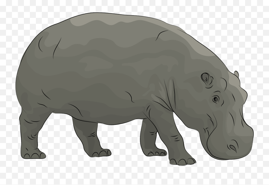 Hippopotamus Clipart - Big Emoji,Hippo Clipart