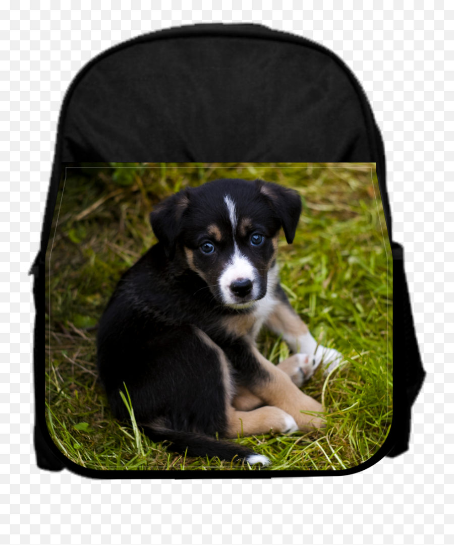 Sad Puppy 13 X 10 Black Preschool Toddler Childrenu0027s Backpack Emoji,Sad Dog Png