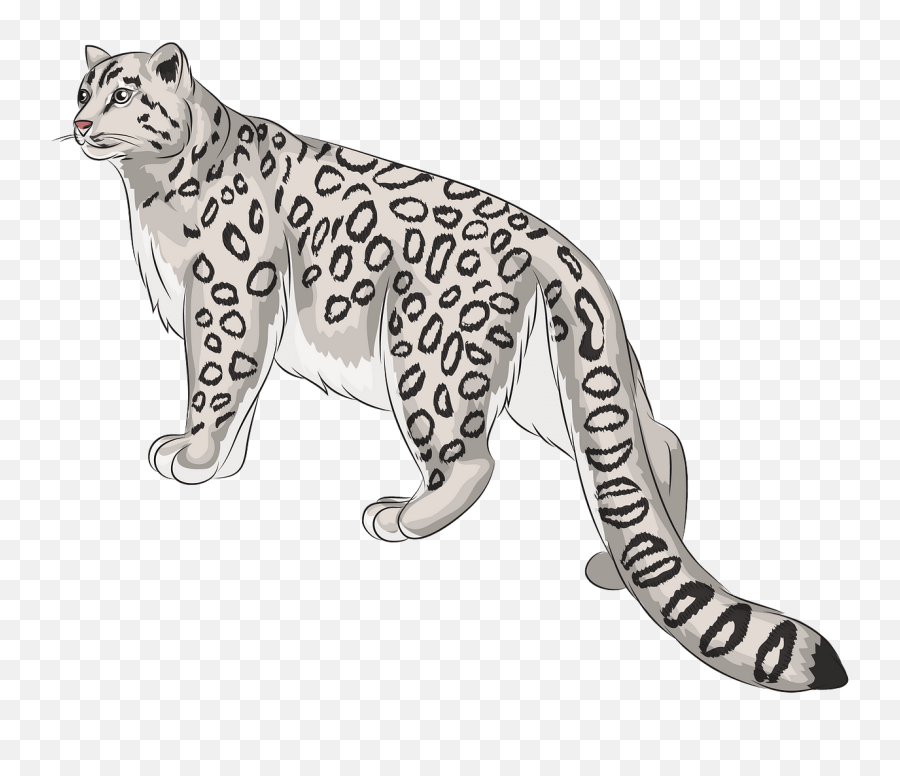 Snow Leopard Blue Eyes Clip Art 1 Emoji,Leopard Clipart