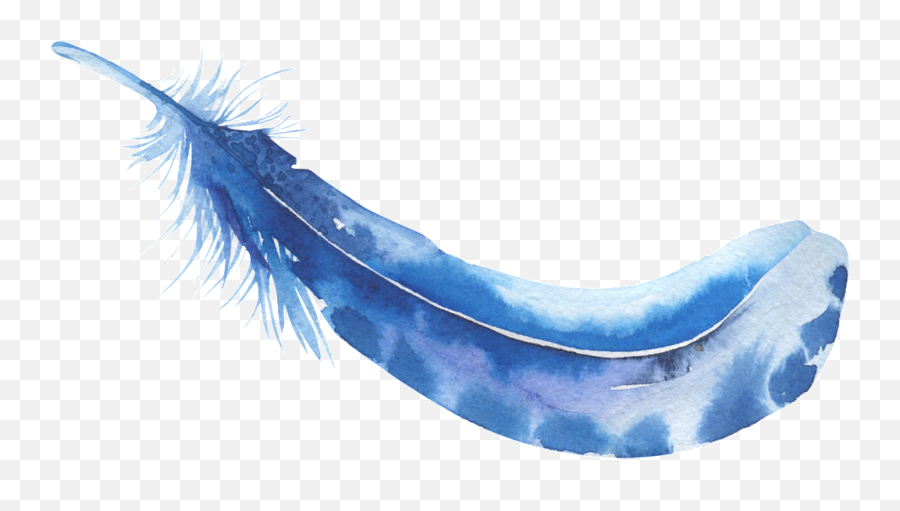 Download Aquamarine Feather Decorative Free Transparent - Watercolor Painting Emoji,Feather Transparent Background
