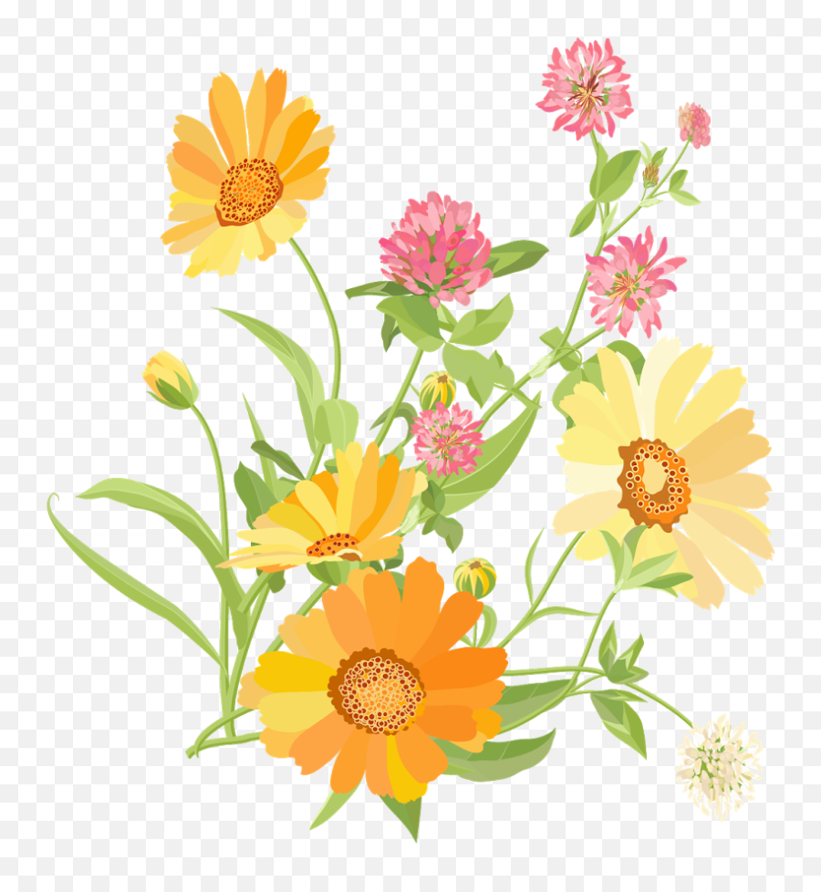 The Answer Is Chocolate Happy May Emoji,Marigolds Clipart