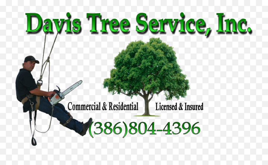 Tree - Logou2013davis U2013 Davis Tree Service Tree Service Logos Emoji,Tree Logo