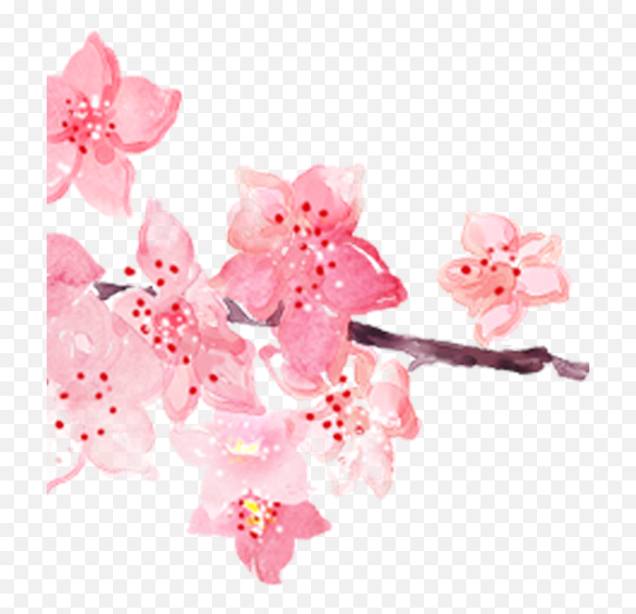 Download Hd Pink Watercolor Painting Hand Painted - Cherry Blossom Painted Png Emoji,Pink Watercolor Png