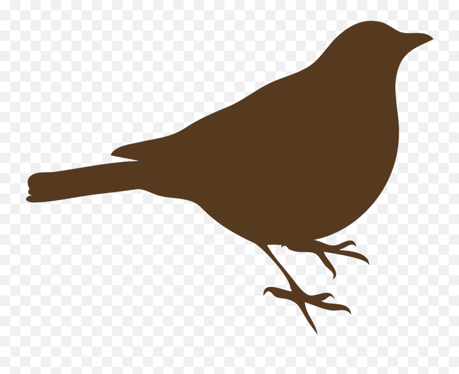 Brown Song Bird Clip Art - Baltimore Oriole Bird Silhouette Emoji,Song Clipart
