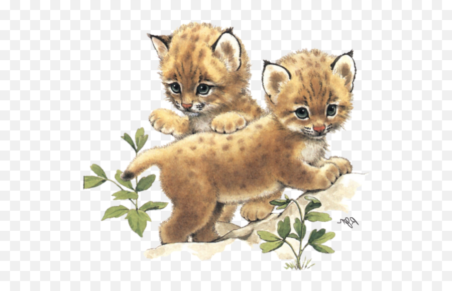 Cat Cheetah Wildlife Puma Clipart - Cat Emoji,Cheetah Clipart