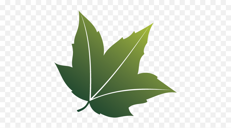Leaf Png Hd Images Stickers Vectors Emoji,Lettuce Leaf Clipart