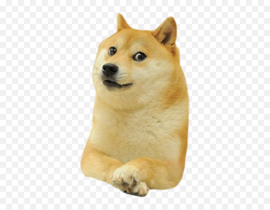 Doge Head Meme Transparent Background Png Play - Doge Meme Emoji,Meme Transparent