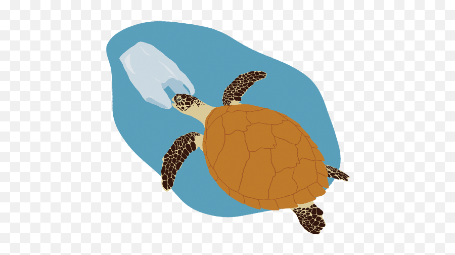 Living Planet Report - Tortoise Emoji,Planeten Clipart