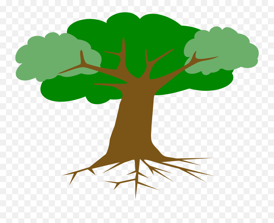 Tree Roots Vector Png - Drawing Of A Tree With Branches And Leaves Emoji,Roots Png