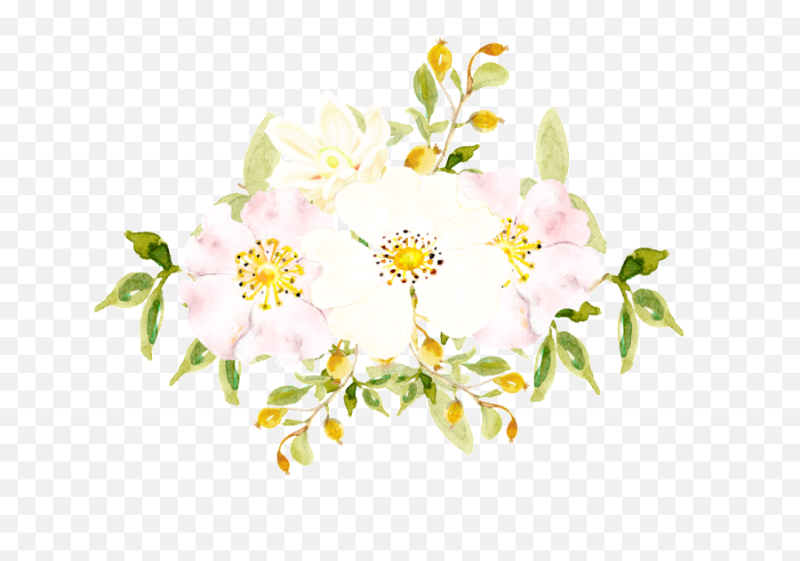 Download Hand Painted White Flowers Png Transparent - Rosa Emoji,White Flowers Png