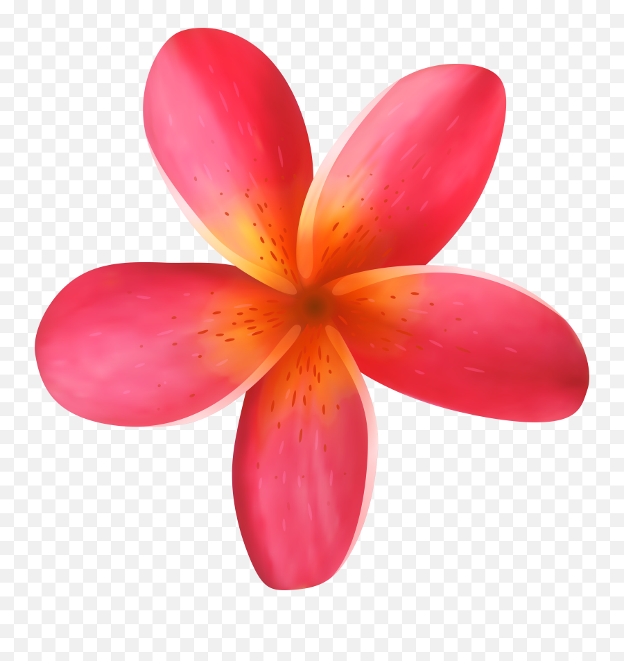 Download Hd Tropical Flower Png Clip Art Image Transparent Emoji,Flowers Clipart Transparent