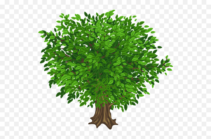 Large Green Tree Transparent Png Clipart Picture Green Emoji,Birch Tree Clipart