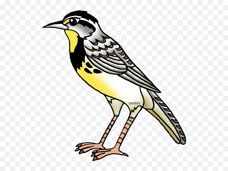 Kansas State Bird Clipart - Clip Art Library Emoji,States Clipart