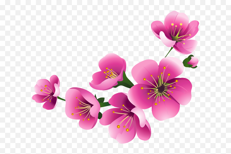 Blossom Flower Clipart Png - Border Orchid Clipart Emoji,Flower Clipart