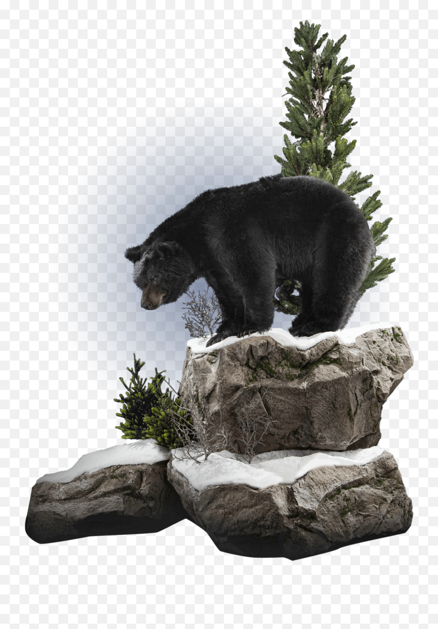 Our Work - American Black Bear Emoji,Bear Transparent
