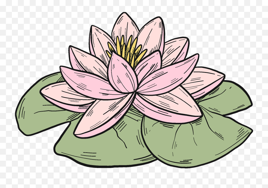 Sacred Lotus Clipart - Sacred Lotus Clipart Emoji,Lotus Clipart