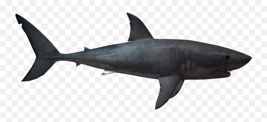 Shark Png Hd Vcetor Transparent Background Image For Free - Shark With No Background Emoji,Shark Transparent