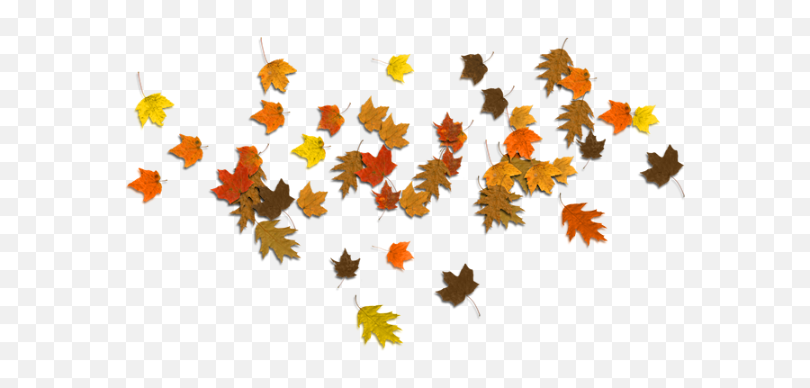 Falling Autumn Leaves Png Image - Autumn Leaf Background Png Emoji,Fall Leaves Png