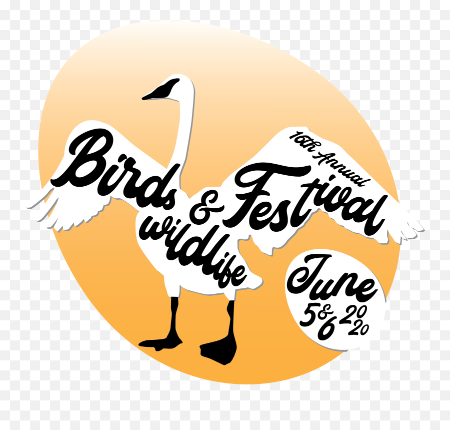Birding Festival U2013 Discovery Center Emoji,Crane Bird Png