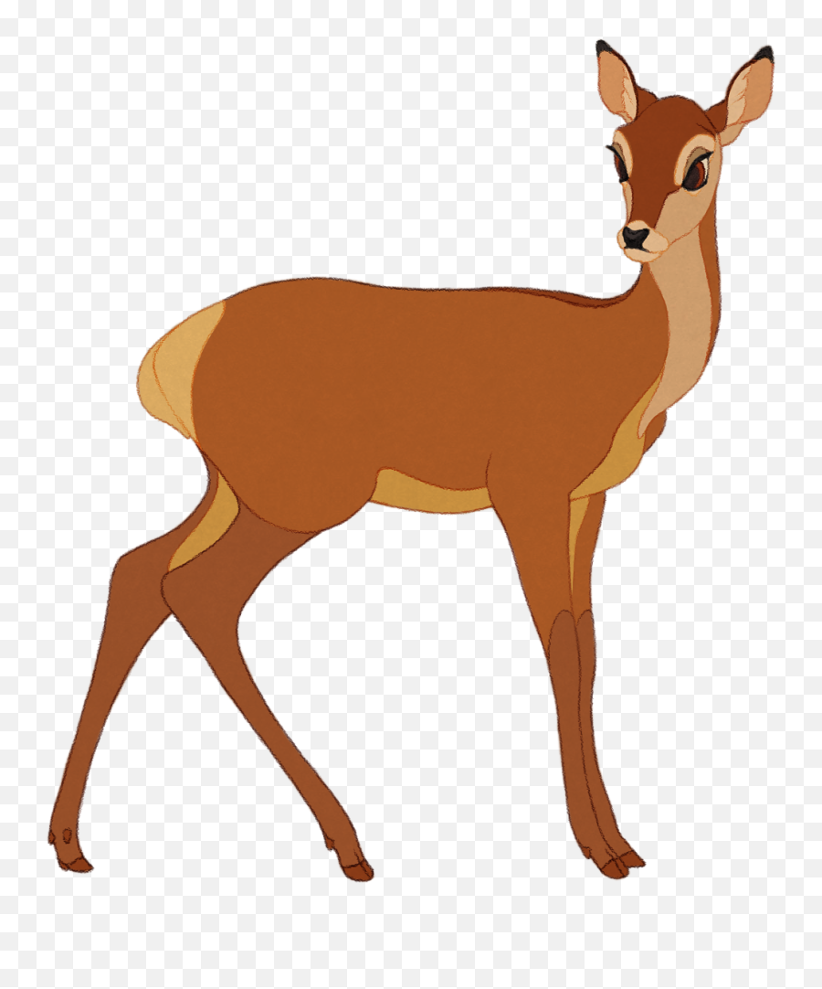 White - Tailed Deer Musk Deers Antler Gazelle Deer White Tailed Deer Clipart Emoji,Deer Png