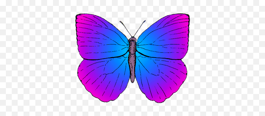 Snappygoatcom - Free Public Domain Images Snappygoatcom Emoji,Butterfly Transparent Png