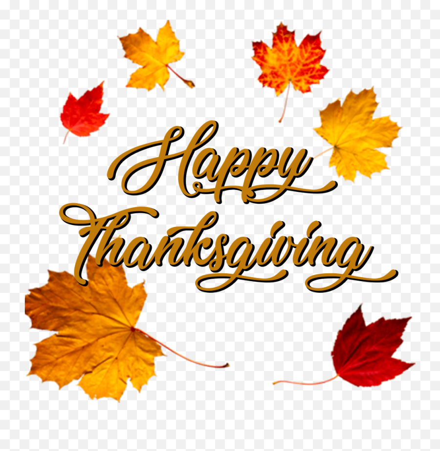 Happy Thanksgiving Png Images - Autumn Leaves Flying Art Png Emoji,Thanksgiving Png