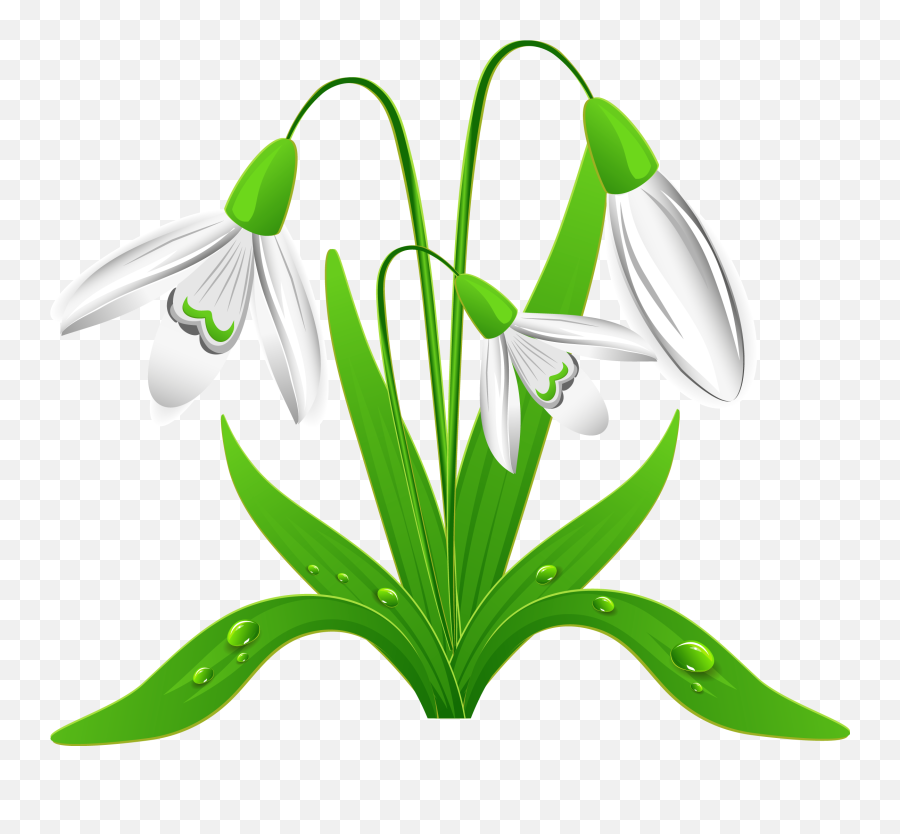 Snow Gif - Snowdrops Clipart Hd Png Download Original Snowdrops Clipart Emoji,Transparent Snow Gif