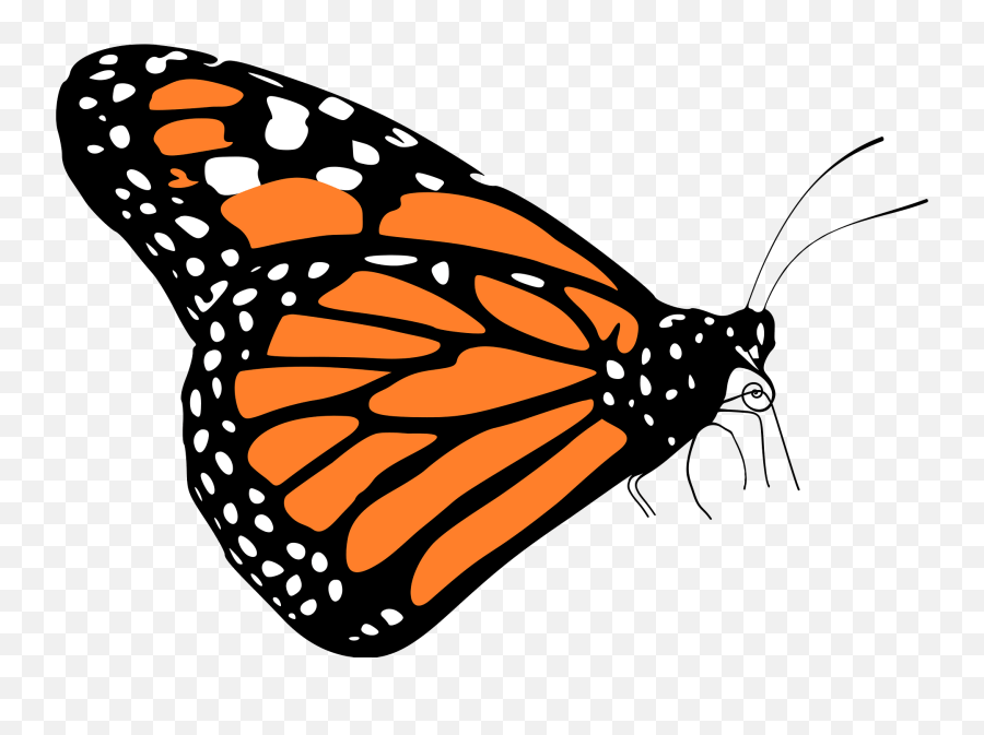 Monarch Butterfly Clipart - Vector Monarch Butterfly Side Emoji,Monarch Butterfly Clipart