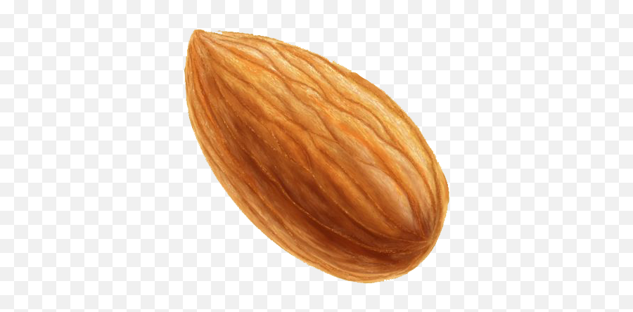 Almond Nut Png Transparent - Single Almond Png Emoji,Nut Png