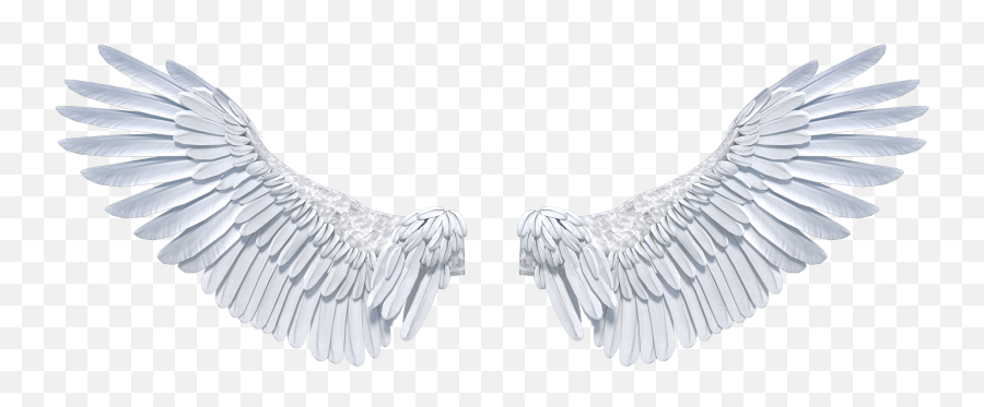 4k Angel Wings Opening Front 1 - Angel Wings Emoji,Angel Wings Transparent Background