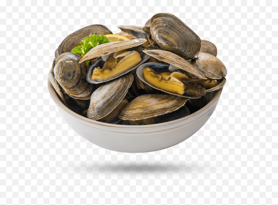 Clam Png - Live Steamer Clams Emoji,Clam Png