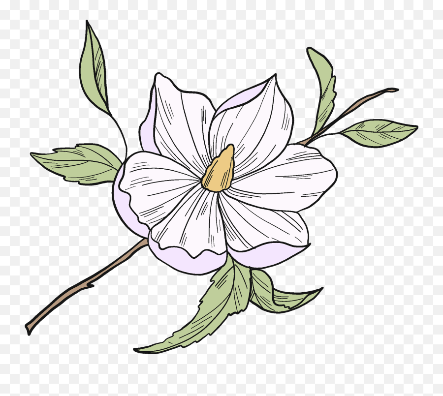 White Magnolia Flower Clipart Emoji,Magnolia Clipart