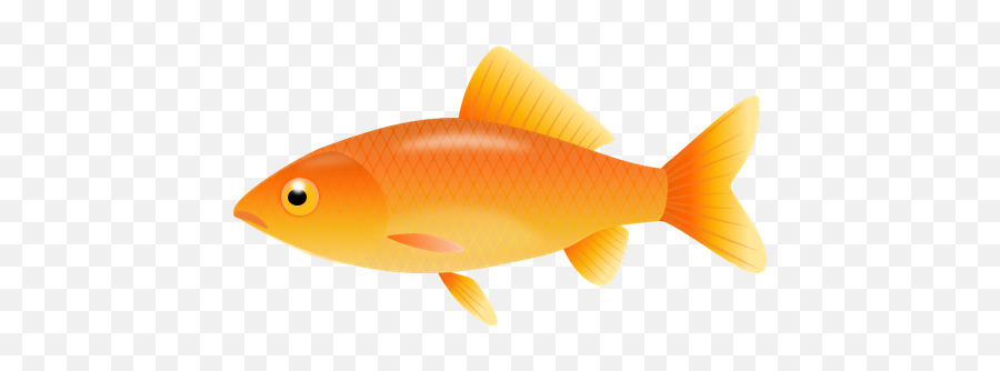 Best Goldfish Clipart - Fish Clip Art White Background Emoji,Goldfish Clipart