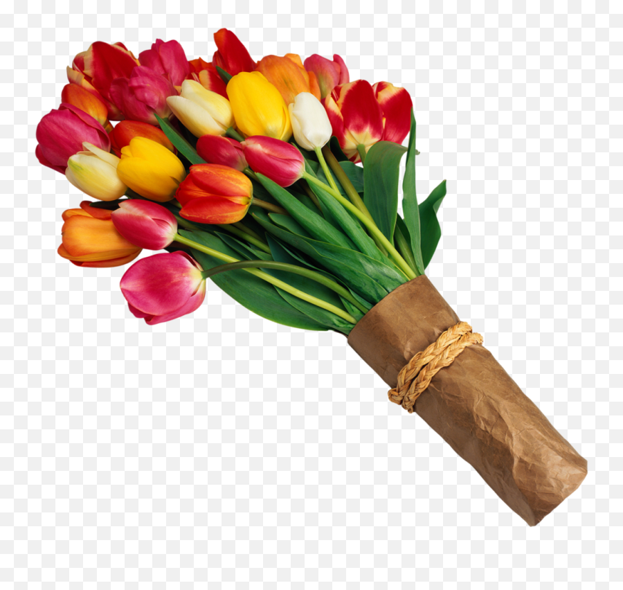 Flower - Tulip Bouquet Png Emoji,Flower Clipart