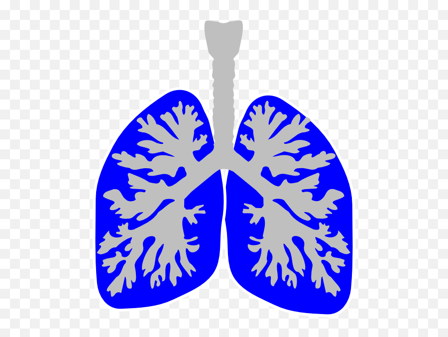 Lungs Clipart Blue Transparent - Lungs Clip Art Emoji,Lungs Clipart